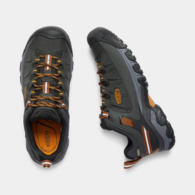 Keen Targhee Exp Waterproof - Erkek Trekking Ayakkabısı - Koyu Zeytin Yeşili - Türkiye (046153MSR)